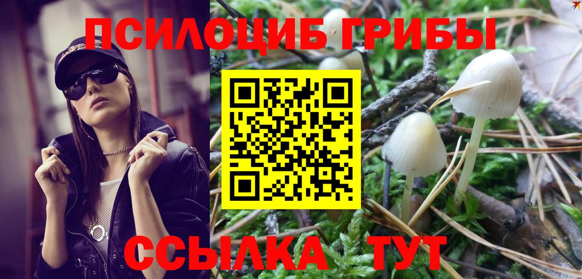 Галлюциногенные грибы ЛСД  Вход с VPN  Александров 