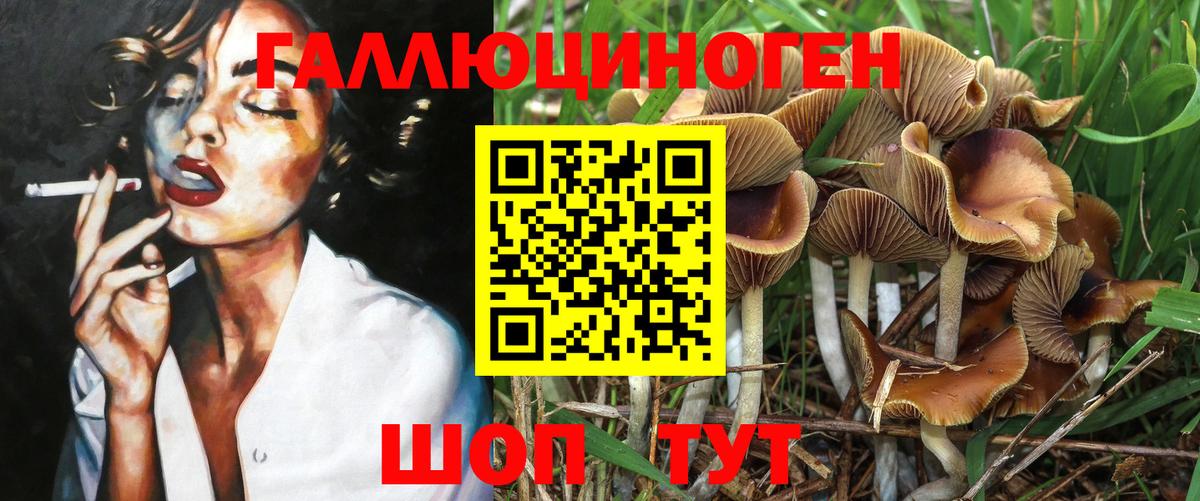 Псилоцибиновые грибы Cubensis Александров